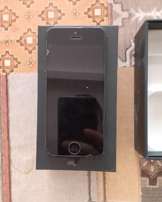 iPhone 5 