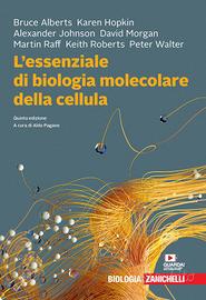 L'essenziale di biologia molecolare della cellula.