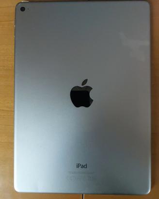 iPad Air 2   (Wi-Fi)   64GB   iOS 15.8.5
