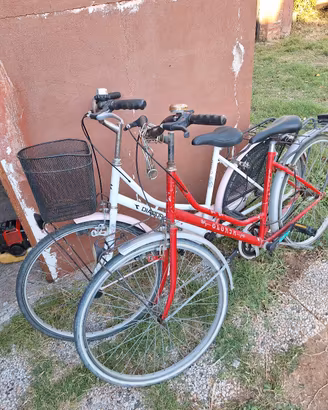 Coppia Biciclette da passeggio da revisionare 