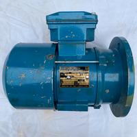 Motore elettrico asincrono trifase 0,18 Kw 1.390 g