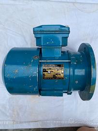 Motore elettrico asincrono trifase 0,18 Kw 1.390 g