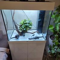 acquario juwel 125 + tank 30