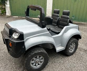 AUTO  ELETTRICA