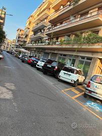 N. 2 Box Auto piazza Pio XI
