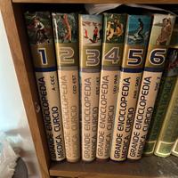 Grande enciclopedia medica curcio