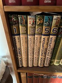 Grande enciclopedia medica curcio