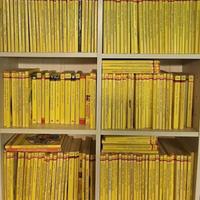 LOTTO LIBRI GIALLO MONDADORI 176 LIBRI