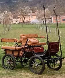 Cavalli con carrozza