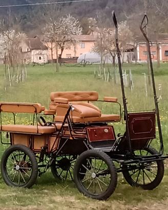 Cavalli con carrozza