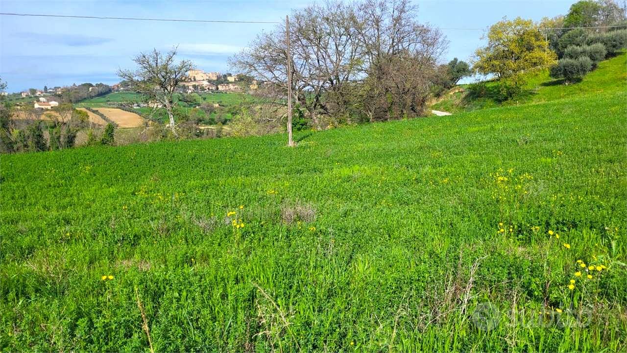 Terreno Agricolo a Magliano di Tenna - Altro
