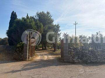 Seminativo a Alezio