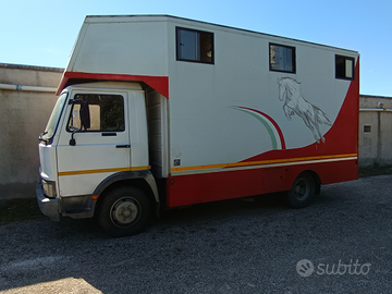Camion trasporto cavalli uso speciale
