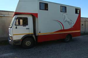 Camion trasporto cavalli uso speciale