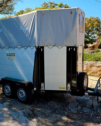 trailer trasporto cavalli 