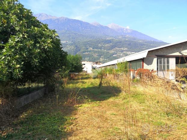 TER. AGRICOLO A COSIO VALTELLINO