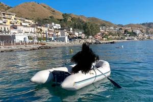 Tender gommone 3.30 typhoone