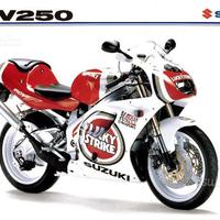 Dépliant Originale Suzuki RGV 250 VJ23