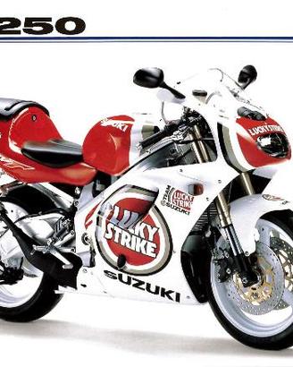 Dépliant Originale Suzuki RGV 250 VJ23