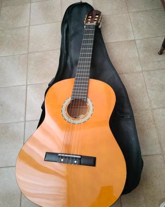 Chitarra modello AG 604 P