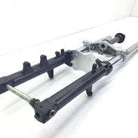 FORCELLA - PICCOLI PUNTI SU PARTE ALTA STELO DESTR