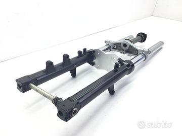 FORCELLA - PICCOLI PUNTI SU PARTE ALTA STELO DESTR