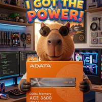 Adata Ace DDR4 32GB (2x16) 3600MHz cl18 - Pc 28800