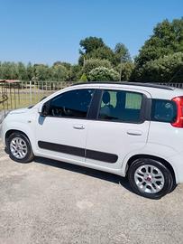 Panda 1.2 Lounge GPL