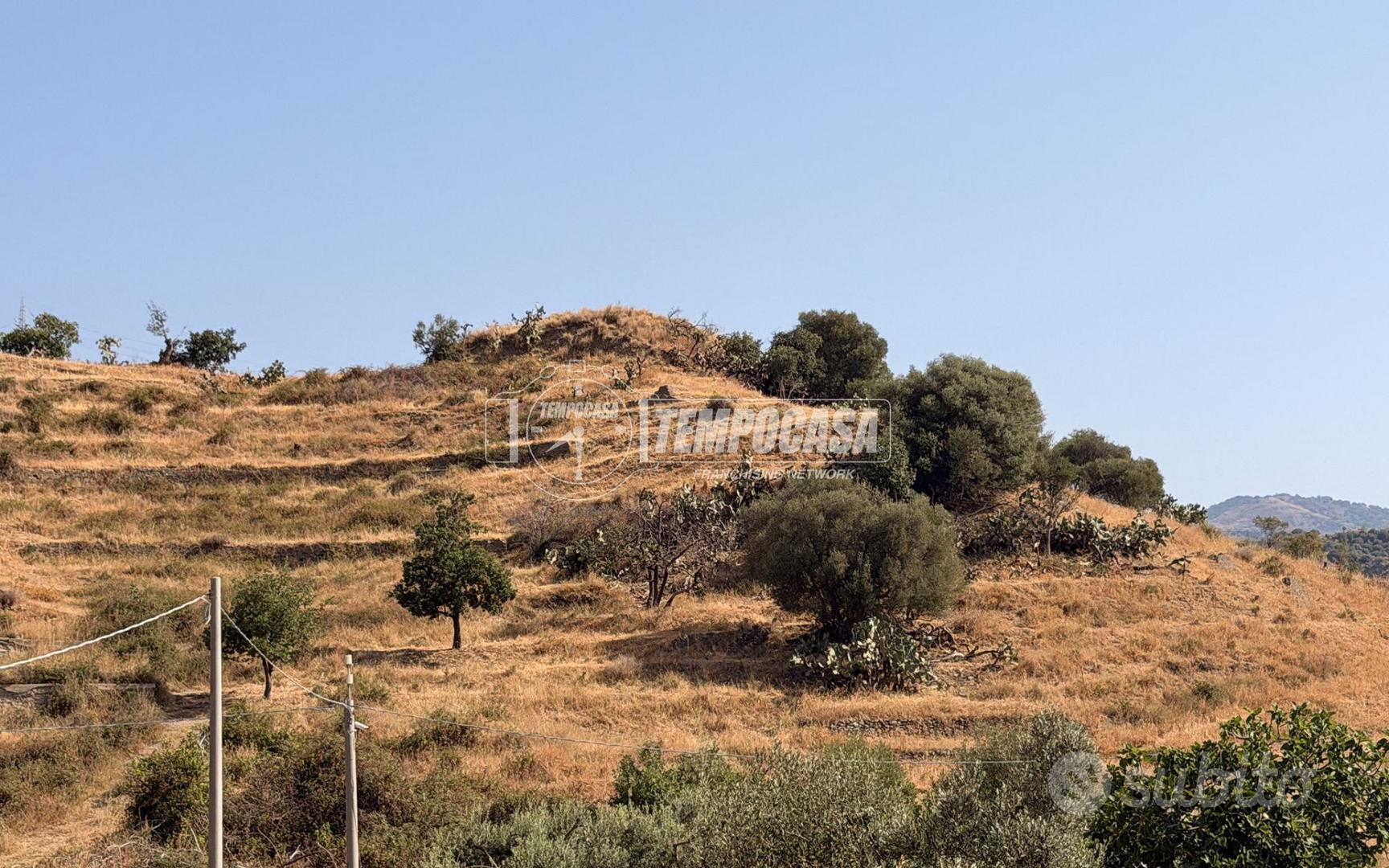 TERRENO AGRICOLO SCOSCESO A ROCCALUMERA - Vista 3