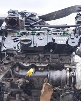 MOTORE SEMICOMPLETO USATO FORD Fiesta 6° Serie TZ