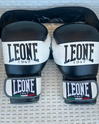 Guantoni Leone