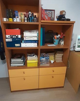 Libreria, Plafoniera e Lampadario.