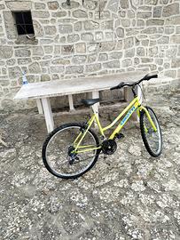 Bicicletta mtb 26”