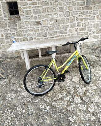 Bicicletta mtb 26”