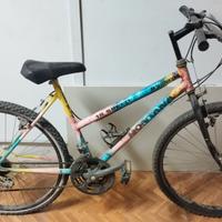 Bici mtb