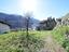 Immagine 20