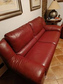Divani in pelle