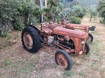 trattori 1954