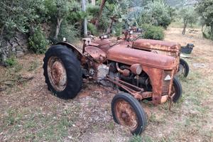 trattori 1954