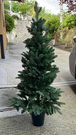 Albero di Natale