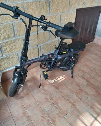 Bicicletta Elettrica 