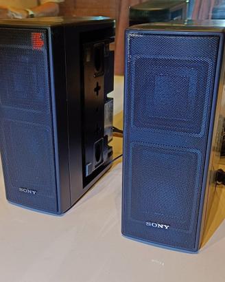 Casse amplificate Sony SRS-100