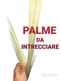 palme da intrecciare steli di palma