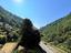 Immagine 15