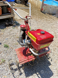 Nuovo Benassi 7 cv miscela