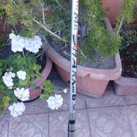 Canna Bolognese Shark 6 metri anelli Sic