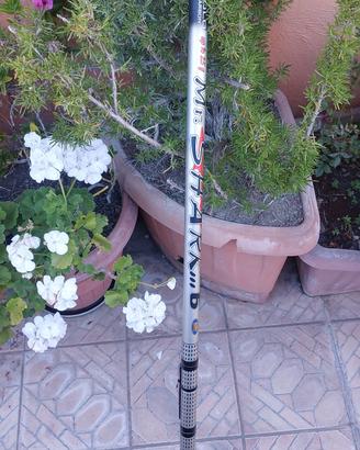 Canna Bolognese Shark 6 metri anelli Sic