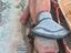 Immagine 3