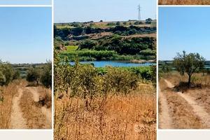 Terreno con uliveto 6000 mq Vista Lago