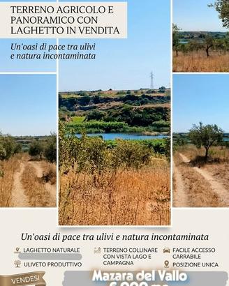 Terreno con uliveto 6000 mq Vista Lago